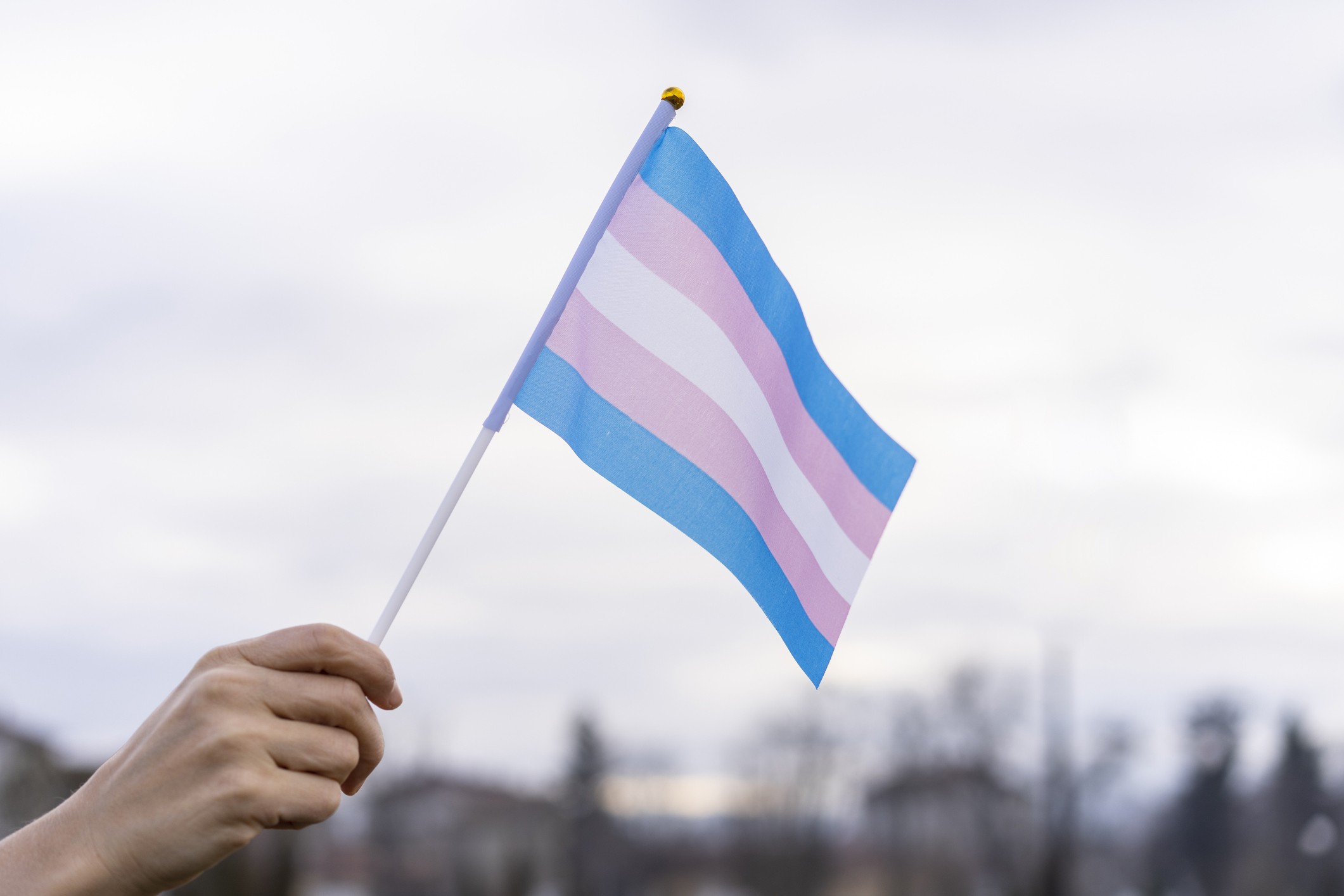 Dia 29 de janeiro é celebrado do o Dia da Visibilidade Trans