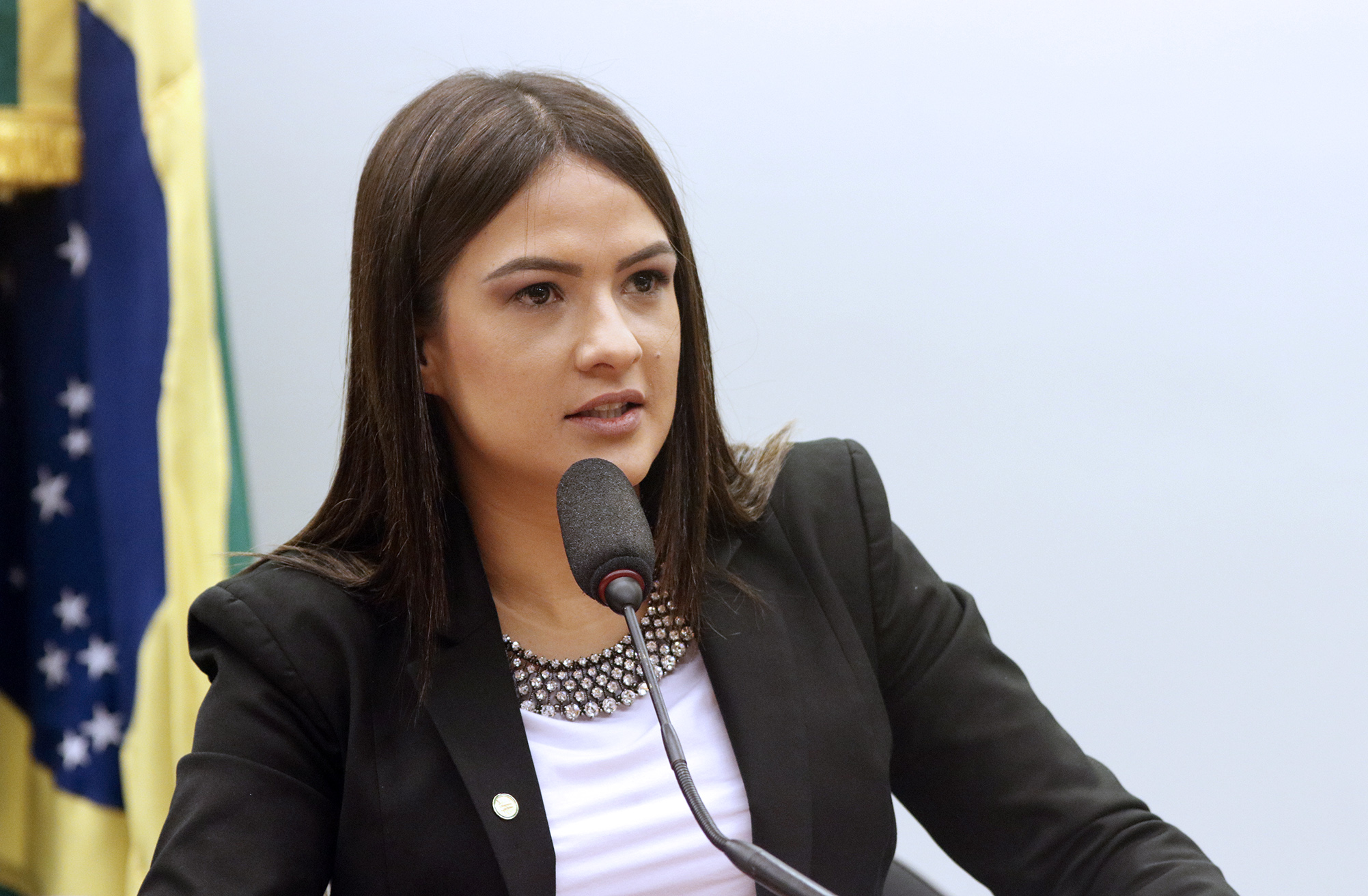 Deputada Federal Bruna Furlan vota contrário ao PL do “Pacote Veneno”