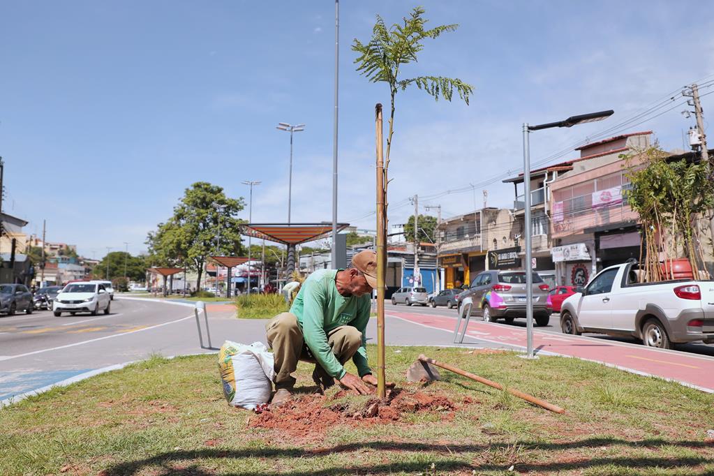 Sema promove plantio de 60 mudas nativas em praça do Jardim Belval