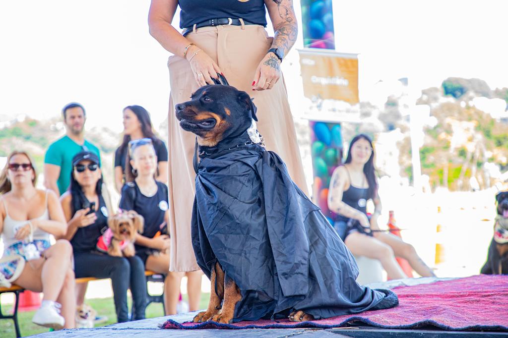 Cãominhada celebra os pets e destaca a importância da proteção animal