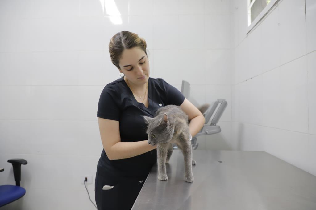 Agendamento de castração de pets será no dia 3 de abril, quarta-feira