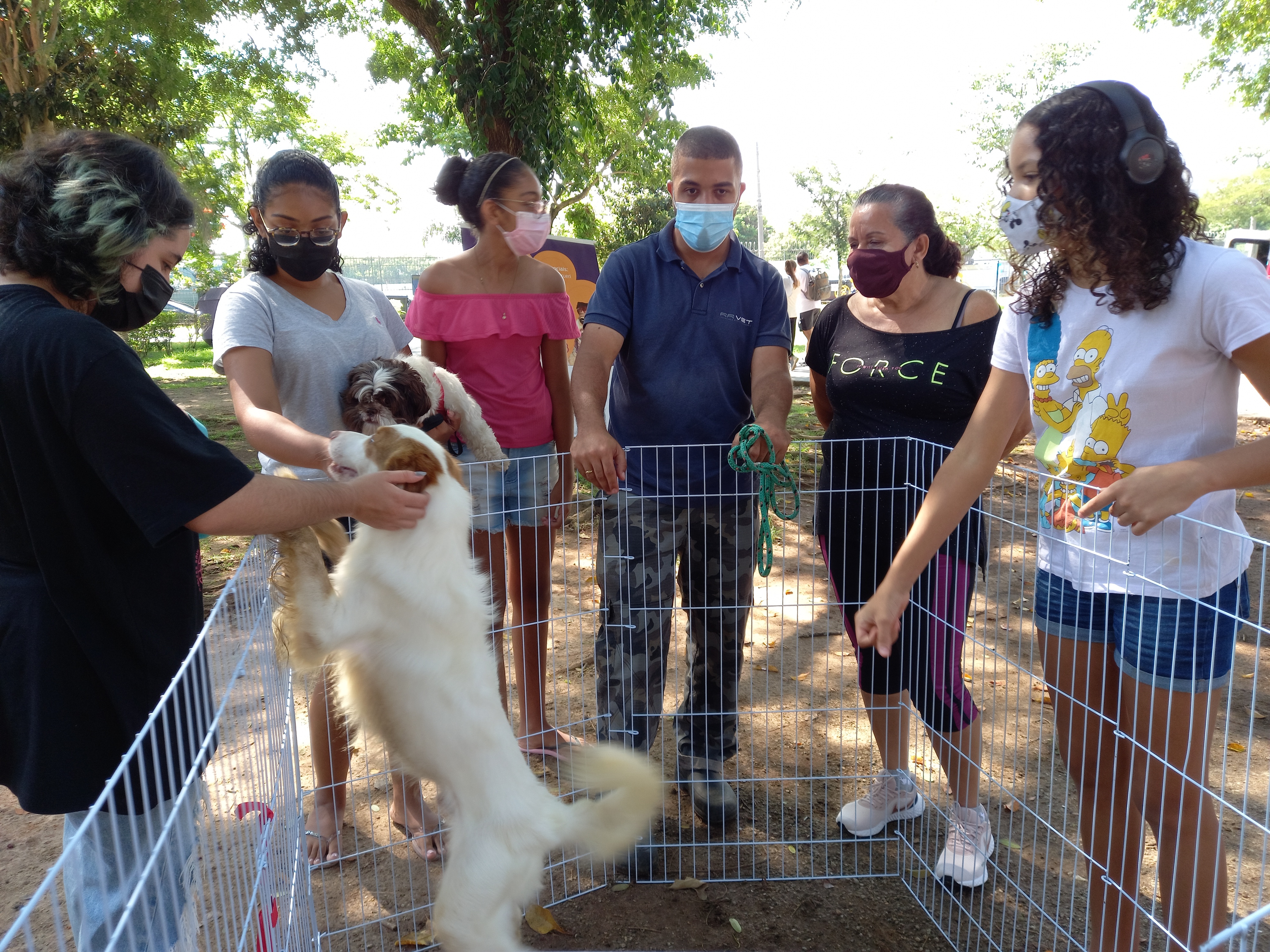 Feira de Adoção de Cães retorna no final de semana