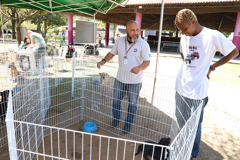 Confira a agenda da Feira de Adoção de Pets do Cepad