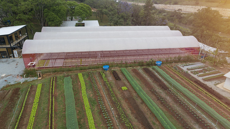 Projeto Horta da Gente promove o resgate a preservação do meio ambiente e garante o alimento para muitas famílias da cidade