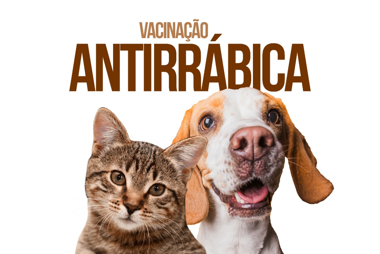 Vacinação antirrábica abre agendamento