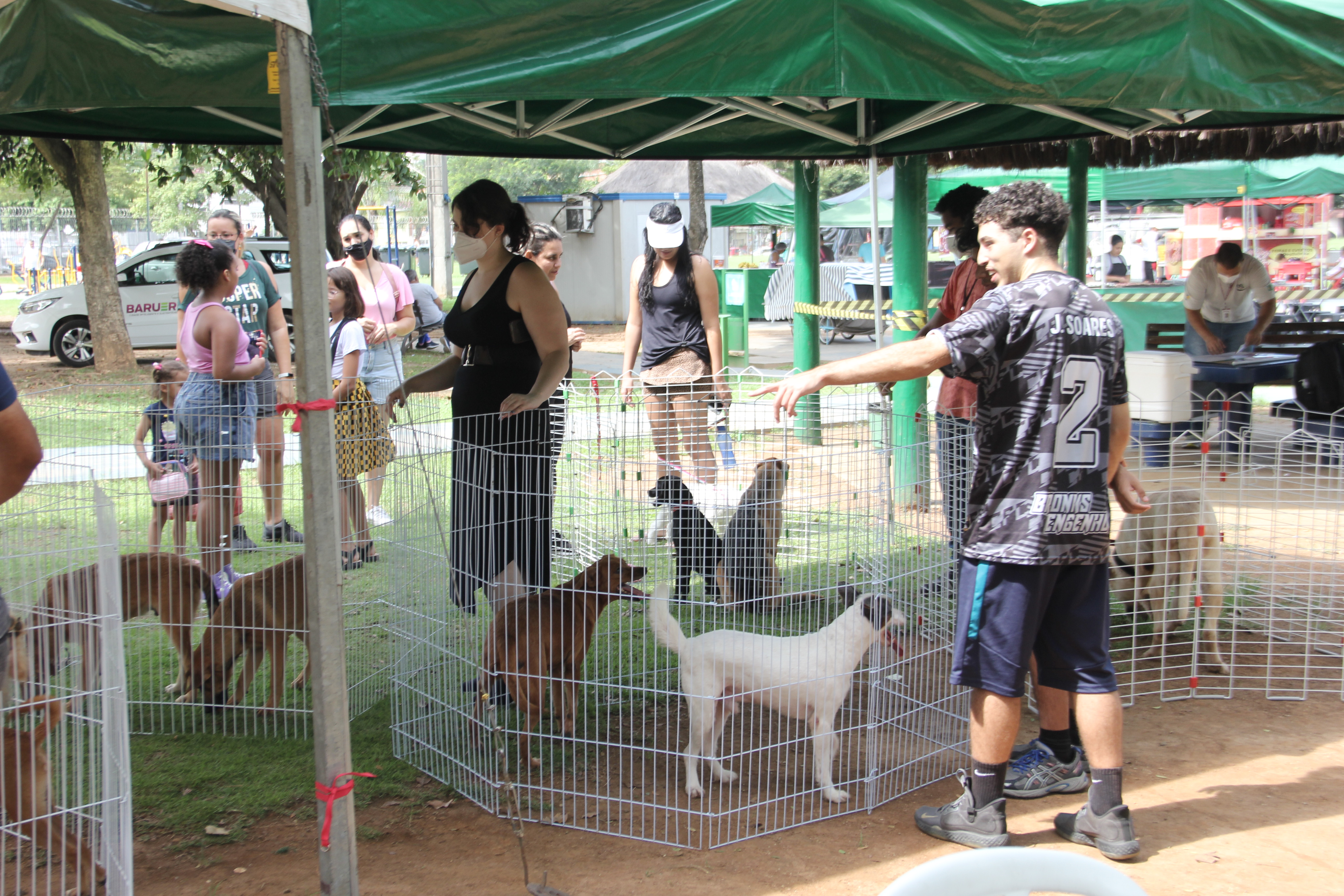 No próximo fim de semana acontecerá o Dia Animal no Parque Municipal Dom José