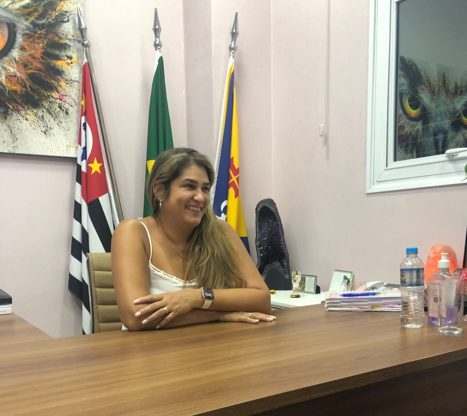 EXCLUSIVO: Vereadora Tânia Gianeli fala sobre projeto que visa a erradicação do analfabetismo