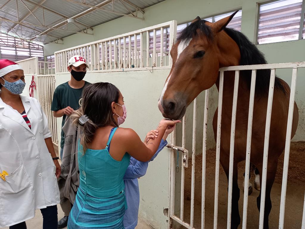 Encontro com animais da equoterapia da SDPD emociona familiares de atendidos