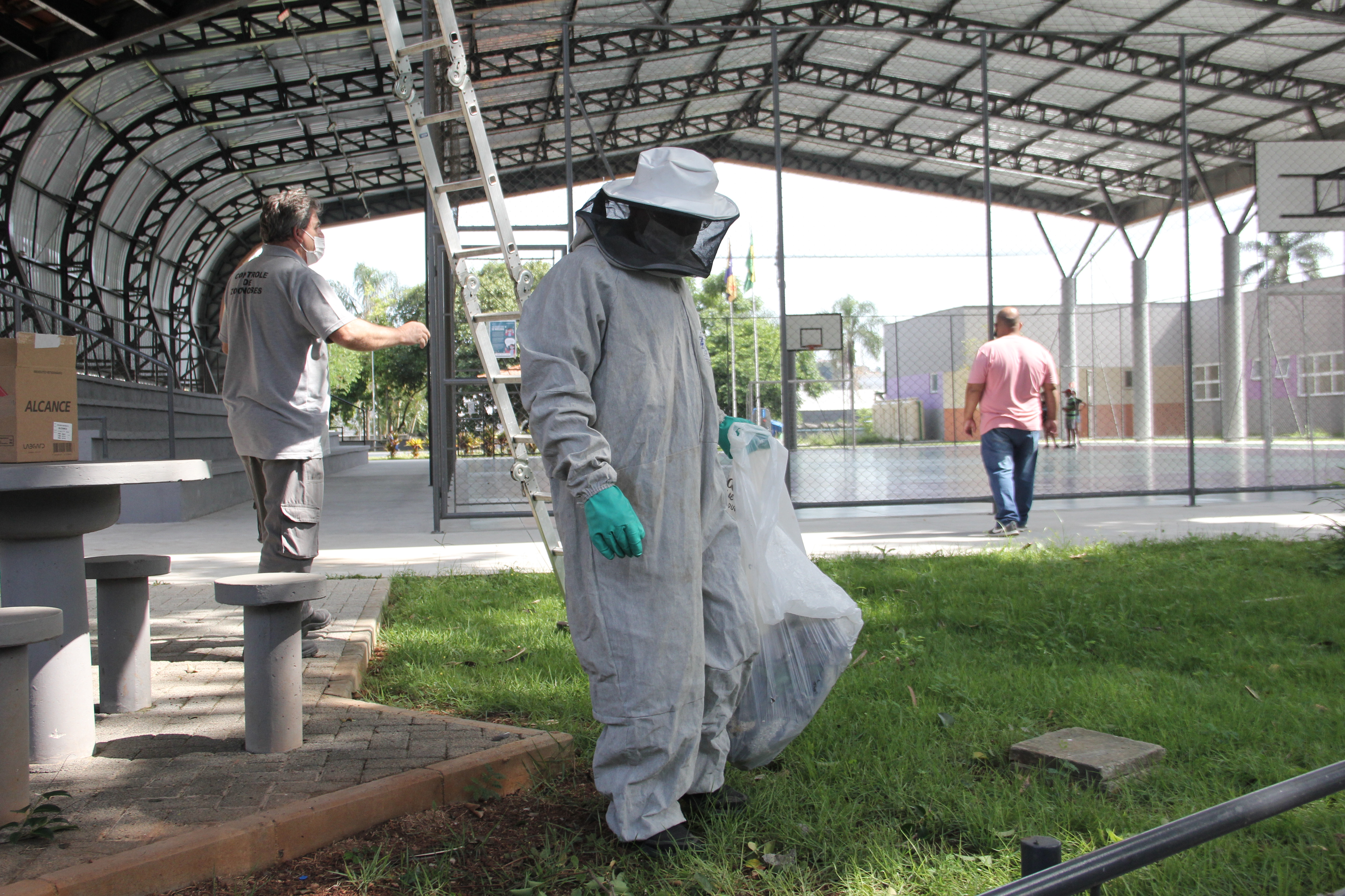 Leishmaniose: saiba como prevenir essa doença