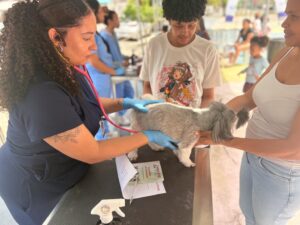 Parque dos Camargos recebe atendimento veterinário gratuito; Jardim Silveira terá edição no dia 26